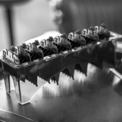 Wahl Black Plastic Clipper Attachment Comb Set 9 Wahl Black Plastic Clipper Attachment Comb Set -Outlet Soft Touch Care Store black plastic clipper attachment comb set p20096 84301 image