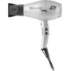 Digitalyon Air Ionizer Hair Dryer Silver