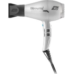 Digitalyon Air Ionizer Hair Dryer Silver